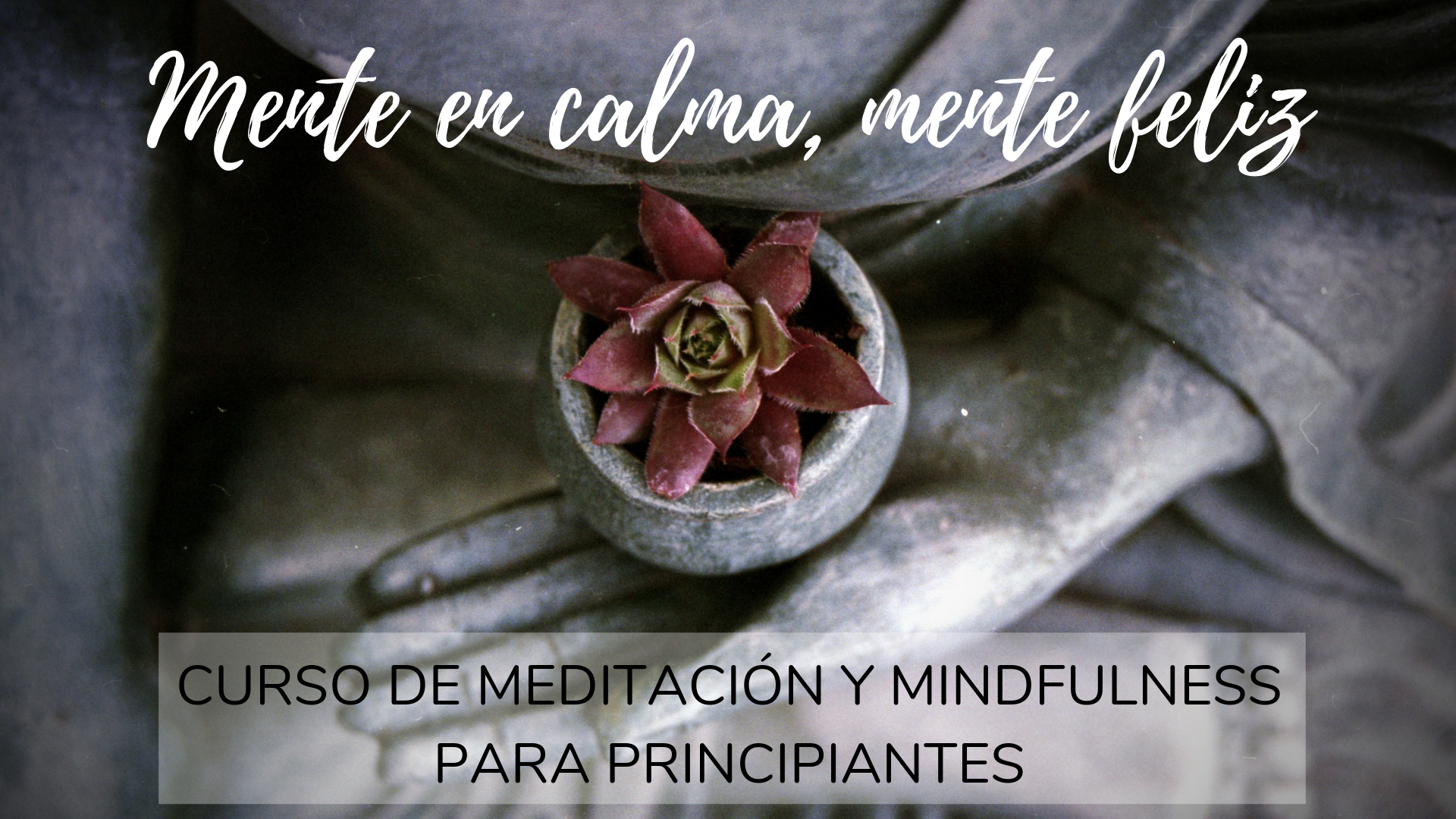 Curso de meditación y mindfulness