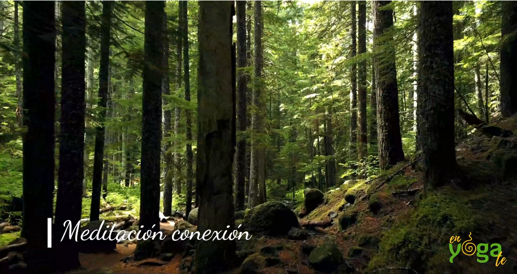 Meditación conexión