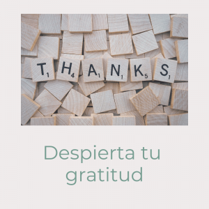 taller gratitud