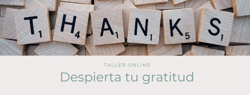 taller gratitud