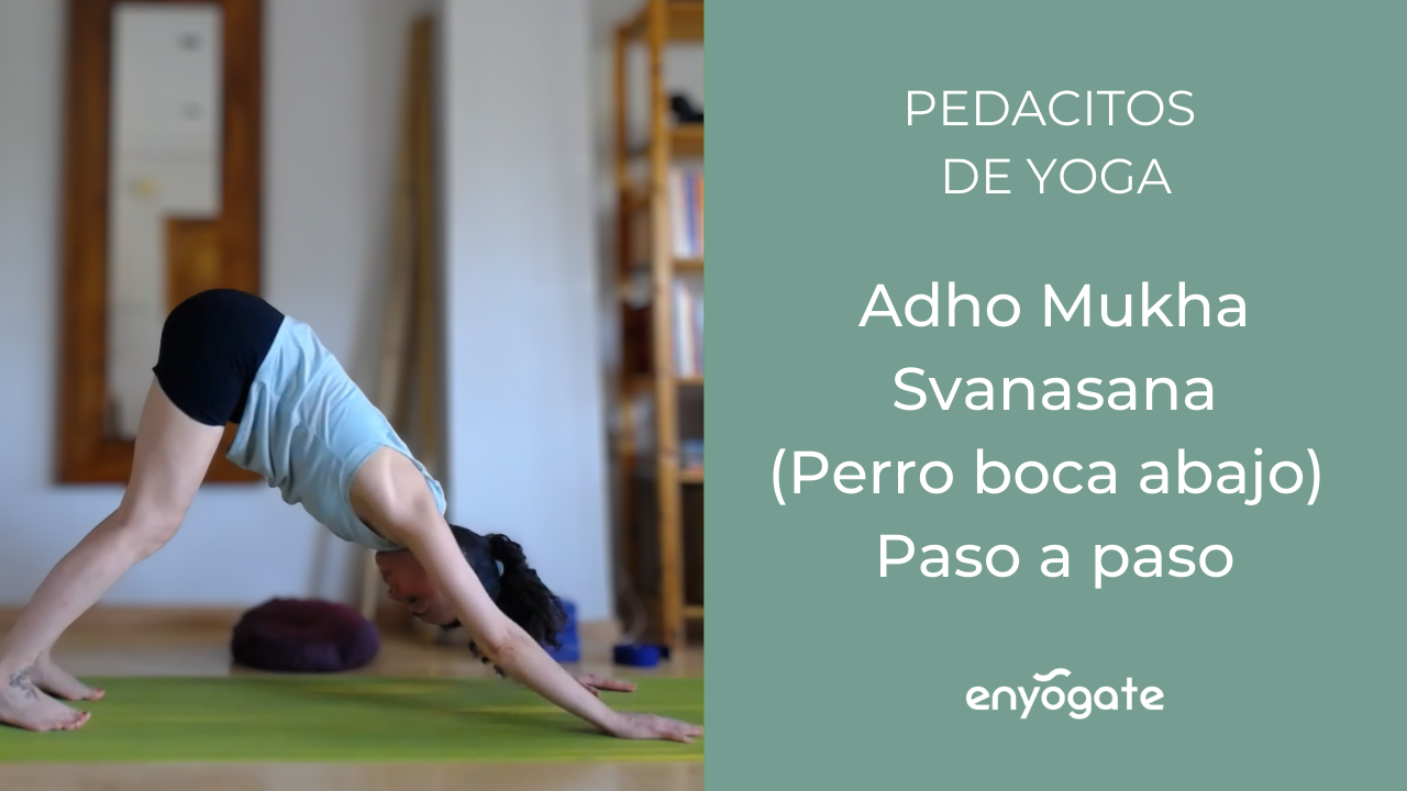 Postura de Adho Mukha Svanasana o perro boca abajo