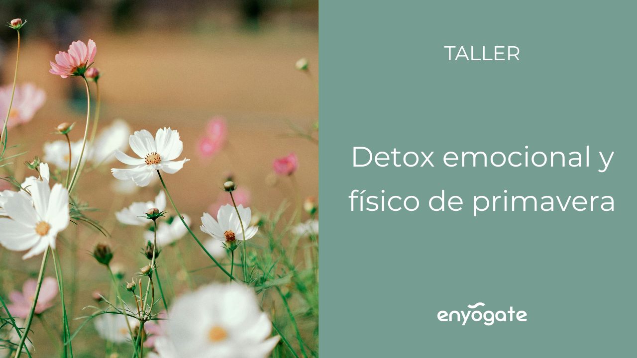 Taller «Detox emocional y físico de primavera»